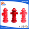 Customized Sand Casting Ductile Iron Fire Hydrant